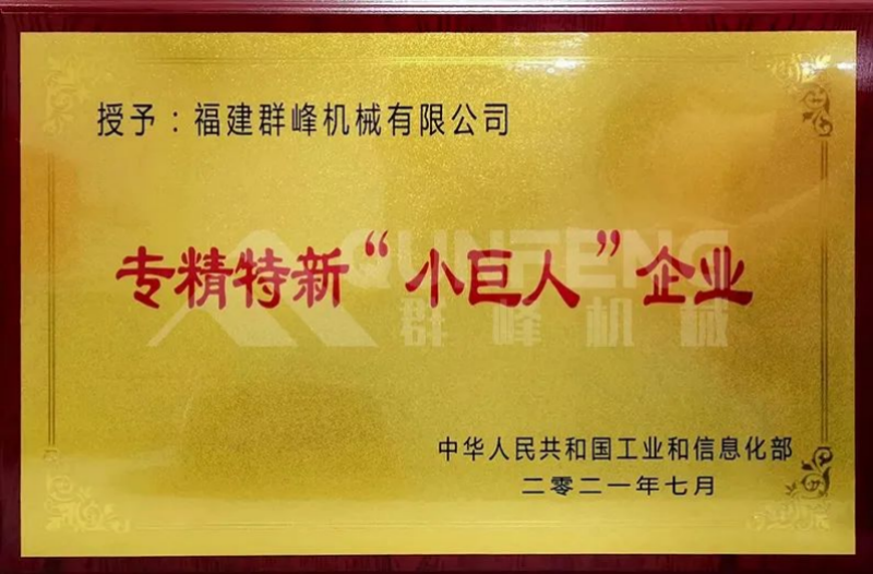 hình ảnh 4