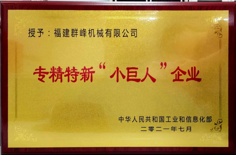 hình ảnh 3